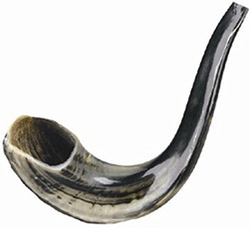 Ultimate Judaica Kosher Shofar Ram's Horns - Shofar Size #3 - 13.5 inch - 15.5 inch