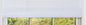 Sweet Roll Collection Set of 2 White Vinyl Roll-Up Blinds (48 inch  x 72 inch )