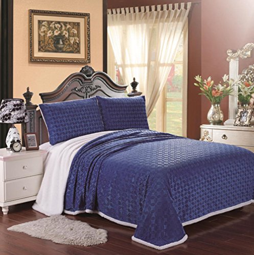 Cozy Home Ultra Soft Reversible Queen Blanket with Sherpa Lining - Blue