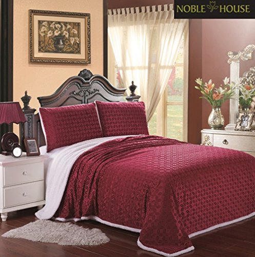 Cozy Home Ultra Soft Reversible Queen Blanket with Sherpa Lining - Scarlet