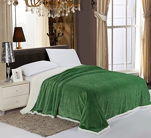 Simple Elegance Luxurious Reversible Sherpa Lining Carved Velboa Blanket - Queen (Garden Green)