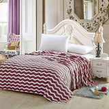 Luxurious Zigzag Modern Chevron Micro Fleece Blanket