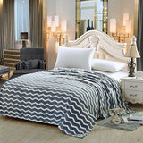 Luxurious Zigzag Modern Chevron Micro Fleece Blanket