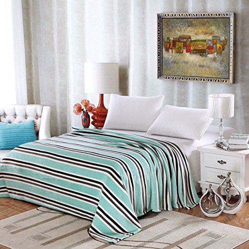 Ben&Jonah Designer Plush Twin LaurenÂ Micro Fleece Jacquard Blanket -Aqua Stripe